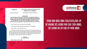 Tải Nghị định 300 2025 NĐ CP về số lượng Phó Chủ tịch UBND, Ủy viên UBND