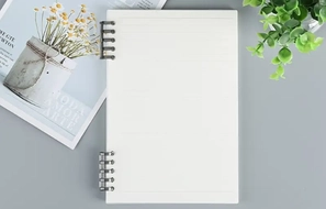 Mẫu Sổ cho mượn tài liệu trong hồ sơ đảng viên để nghiên cứu