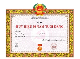 Mẫu Giấy chứng nhận tặng Huy hiệu Đảng mới nhất 2025