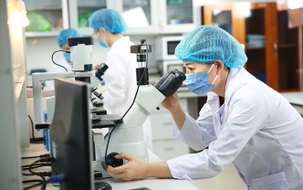 Mã số và tiêu chuẩn chức danh khoa học, công nghệ từ 28/11/2025