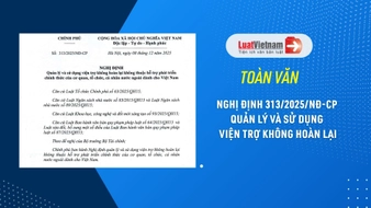 Tải Nghị định 313 2025 NĐ CP về quản lý và sử dụng viện trợ không hoàn lại [PDF]