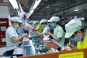 Quy định về 5 nhóm thông tin đăng ký lao động từ 01/01/2026