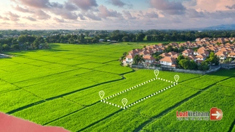 Tóm tắt Nghị quyết 254 của Quốc hội: 5 chính sách mới về đất đai