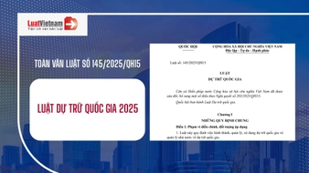 Tải file Luật Dự trữ quốc gia 2025 số 145 2025 QH15