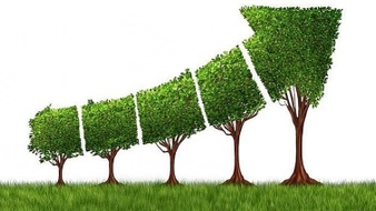 Bổ sung chỉ tiêu tăng trưởng các-bon thấp vào hệ thống chỉ tiêu quốc gia