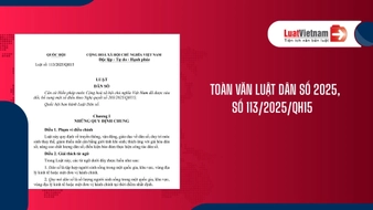 Tải Luật Dân số 2025, số 113/2025/QH15