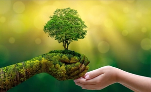 Nội dung giấy phép môi trường gồm những gì? Ai có thẩm quyền cấp?