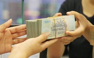 Không đáp ứng điều kiện ưu đãi, doanh nghiệp phải hoàn trả tiền thuê đất đã được miễn, giảm