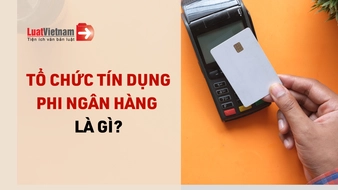 Tổ chức tín dụng phi ngân hàng là gì? Có phải công ty tài chính không?