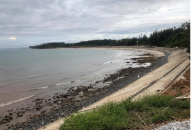 Chỉ thị 04/CT-TTg: Yêu cầu hạn chế giao đất ven biển cho dự án không phục vụ cộng đồng