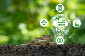 Điểm mới đáng chú ý của Thông tư 11/2026/TT-BNNMT