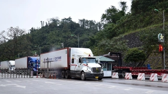 Thông báo 141/TB-VPCP: Tiếp tục ngưng thực hiện Nghị định 46/2026/NĐ-CP về an toàn thực phẩm