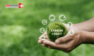 Mẫu Thông báo xác nhận hủy đăng ký tín chỉ các-bon tự nguyện