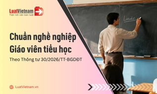 Chuẩn nghề nghiệp giáo viên tiểu học mới nhất theo Thông tư 30/2026/TT-BGDĐT