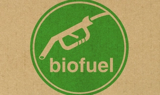 Yêu cầu bảo đảm nguồn cung ethanol để đẩy mạnh xăng sinh học trong tháng 4/2026