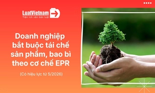 Chính sách mới về tài nguyên môi trường hiệu lực tháng 5/2026