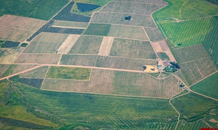 Cán bộ vi phạm đất đai có thể được miễn kỷ luật nếu không tham nhũng