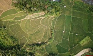 Từ 01/5/2026, không truy cứu hình sự vi phạm đất đai trước 01/8/2024 nếu đủ điều kiện