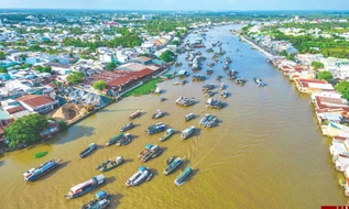 Công văn 3622/VPCP-KGVX: Kiên quyết đình chỉ phương tiện du lịch đường thủy không đủ điều kiện