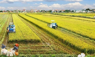 Những đối tượng nào được miễn thuế sử dụng đất đối với toàn bộ diện tích đất nông nghiệp năm 2026?