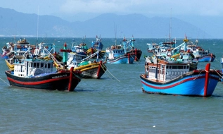 Công điện 34/CĐ-TTg: Việt Nam đẩy mạnh số hóa quản lý tàu cá trên toàn quốc