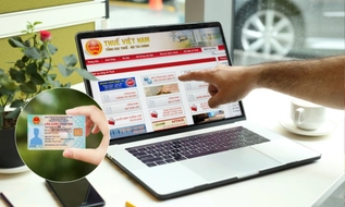 Hướng dẫn tra cứu tình trạng mã số thuế cần hợp nhất với số định danh cá nhân