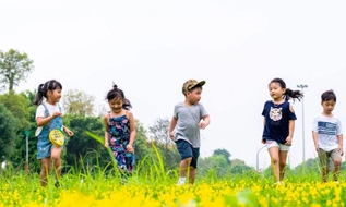 Cảnh giác: Lừa đảo công nghệ cao nhắm vào trẻ em dịp hè