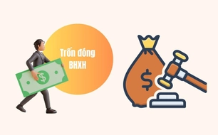 Từ hôm nay, 15/6/2026, Sở Nội vụ phải theo dõi việc chậm đóng, trốn đóng BHXH bắt buộc