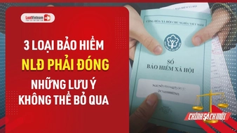 Video: 3 loại bảo hiểm NLĐ phải đóng và những lưu ý quan trọng