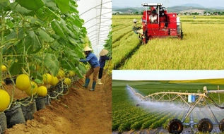 Mức xử phạt vi phạm hành chính trong lĩnh vực trồng trọt từ 05/8/2026