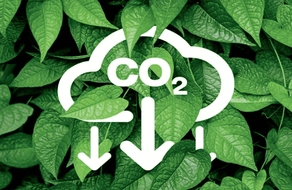 Vietnam’s domestic carbon exchange launched