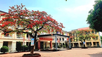 Công văn 4054/BGDĐT-GDPT: Mỗi xã phải có ít nhất 1 trường mầm non, 1 trường phổ thông