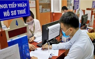 Không hoạt động kinh doanh từ 1 năm mà không thông báo sẽ bị thu hồi Giấy đăng ký doanh nghiệp