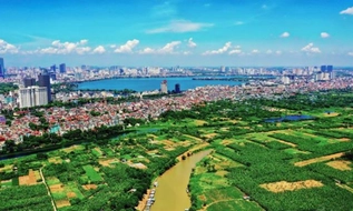 Tải toàn văn Nghị định 281 2026 NĐ CP sửa đổi xử phạt vi phạm hành chính đất đai