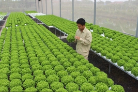 Incentive policies for high-tech agricultural zones