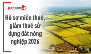 Hồ sơ miễn thuế sử dụng đất nông nghiệp theo Thông tư 89 2026 TT BTC