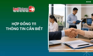 Hợp đồng 111: Đối tượng áp dụng, cách tính lương, hồ sơ hưởng