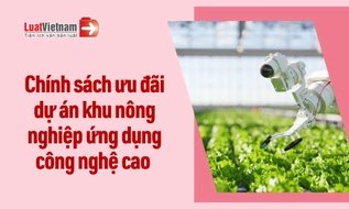 Chính sách ưu đãi đầu tư đối với dự án khu nông nghiệp ứng dụng công nghệ cao