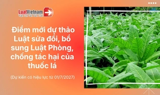 Điểm mới dự thảo Luật Phòng, chống tác hại của thuốc lá 2026