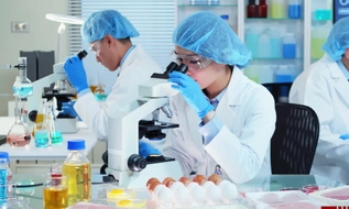 Đã có toàn văn Dự thảo Luật An toàn thực phẩm (sửa đổi) 