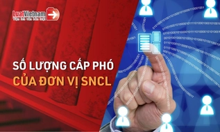 Khung số lượng cấp phó của đơn vị sự nghiệp công lập từ 28/7/2026 [theo Nghị định 299/2026/NĐ-CP]