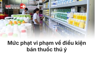 Vi phạm về điều kiện buôn bán thuốc thú y từ 01/8/2026 xử lý thế nào?