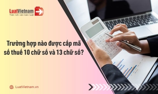 Trường hợp nào được cấp mã số thuế 10 chữ số và 13 chữ số?