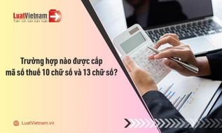 Trường hợp nào được cấp mã số thuế 10 chữ số và 13 chữ số?