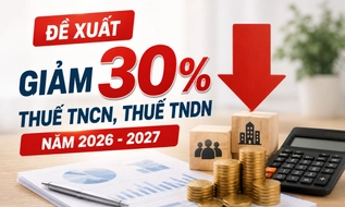 Đề xuất giảm 30% thuế TNCN, thuế TNDN trong 2 năm 2026-2027