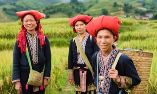 Ngày Văn hóa Việt Nam 24/11: Không thương mại hóa, không gây áp lực huy động đóng góp