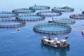 Vietnam sets out plan to become strong maritime nation by 2030