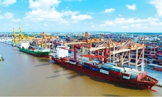 3 trường hợp bị đình chỉ Giấy chứng nhận đăng kiểm viên tàu biển trong 30 ngày