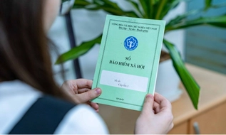 Mức tham chiếu là gì? Mức tham chiếu mới nhất 2026