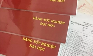 Từ 26/9/2026, VNeID được sử dụng để xác minh kết quả công nhận văn bằng nước ngoài